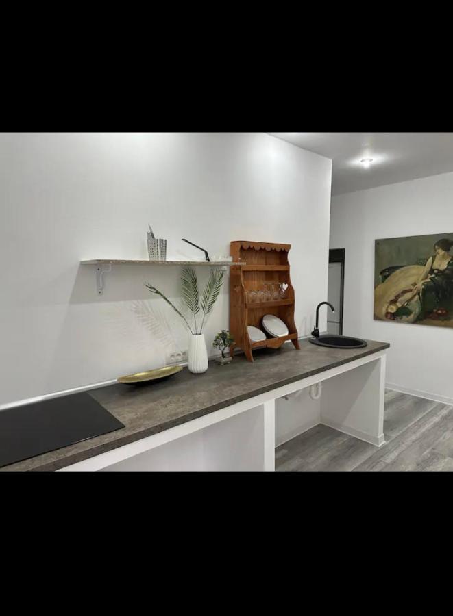 Piata Libertatii Apartament 1 Room Timisoara Exterior foto
