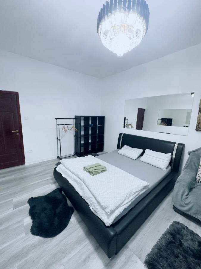 Piata Libertatii Apartament 1 Room Timisoara Exterior foto